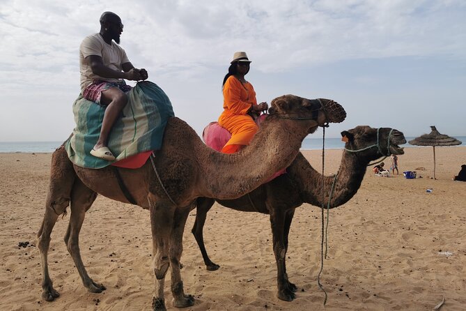 Camel ride in Tanger - The Caves of Hercules and the cash-only warning