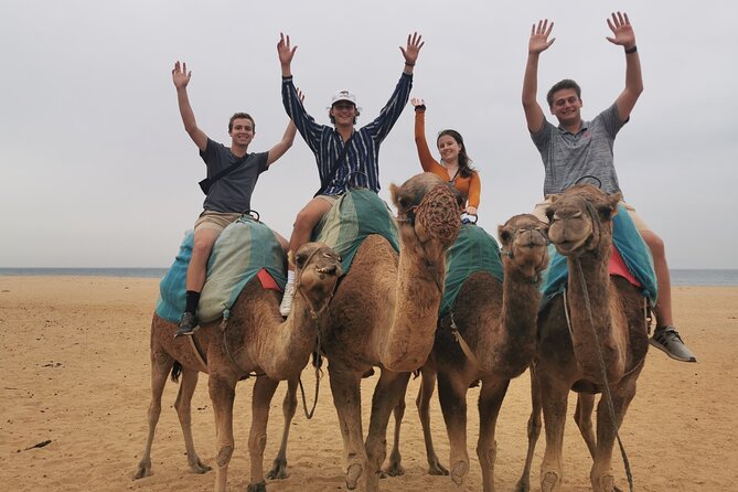 Camel ride in Tanger - Animal care and the setting deserve attention