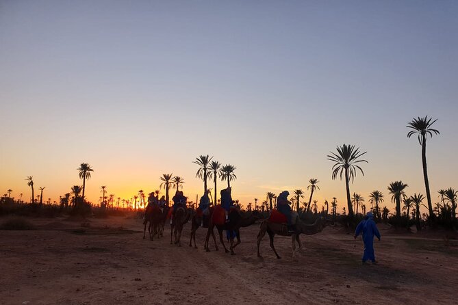 Camel ride Marrakech - Getting there by climate-controlled vehicle