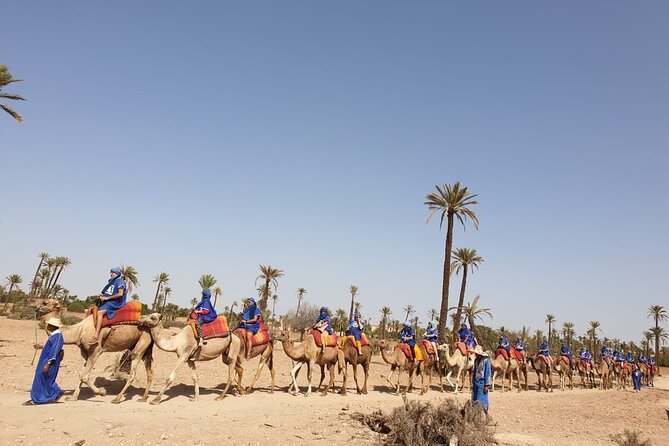 Camel ride Marrakech - Mint tea in a tent-style setting