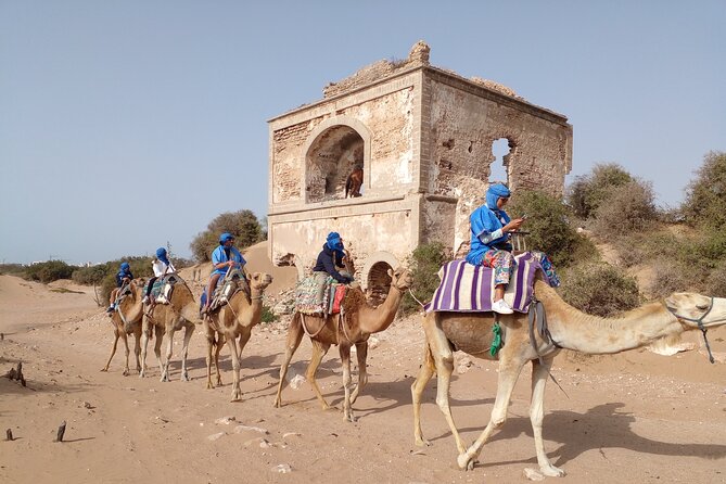 Camel ride or quad bike ride.. pick up, drop off. including - What the Essaouira camel ride is really like