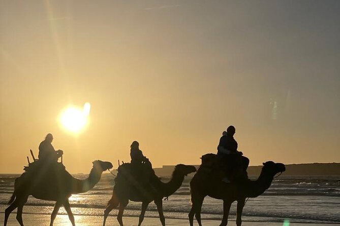 Camel ride or quad bike ride.. pick up, drop off. including - Oued Ksob, Diabat, and the birdlife