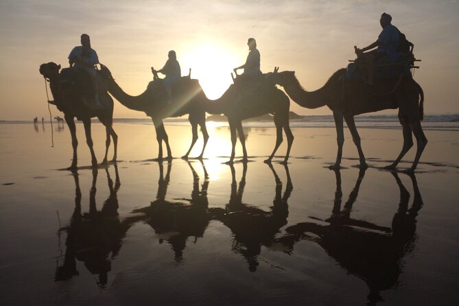 Camel ride or quad bike ride.. pick up, drop off. including - The guides make the difference