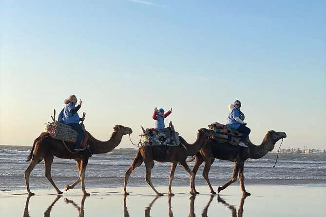Camel ride or quad bike ride.. pick up, drop off. including - Riding along the beach and dunes
