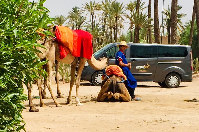 Camel Ride & Quad Biking Half Day in Marrakech - Key things to know before you book