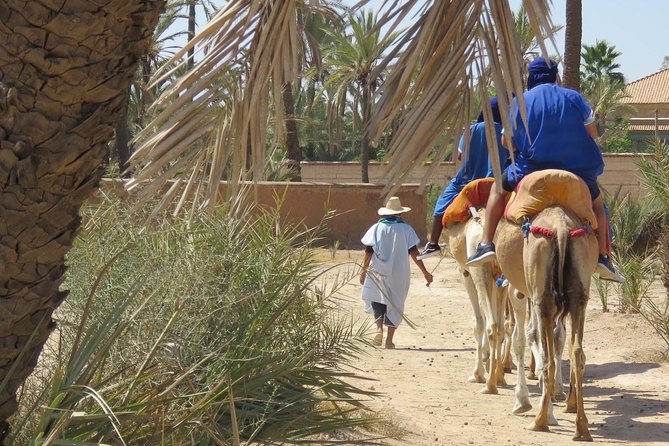 Camel Ride & Quad Biking Half Day in Marrakech - Getting out of the medina and into the Palmeraie