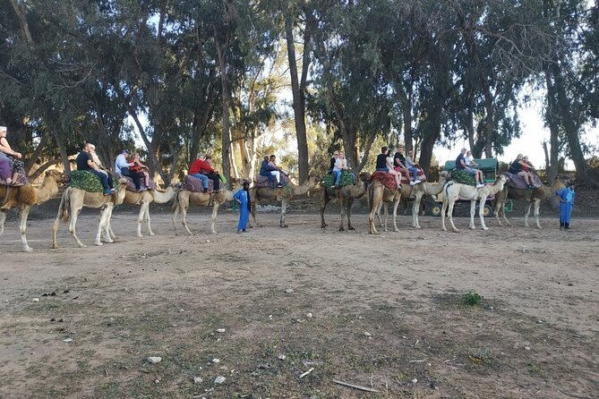 Camel ride + sunset + BBQ dinner in Agadir - What the $40.65 price really covers