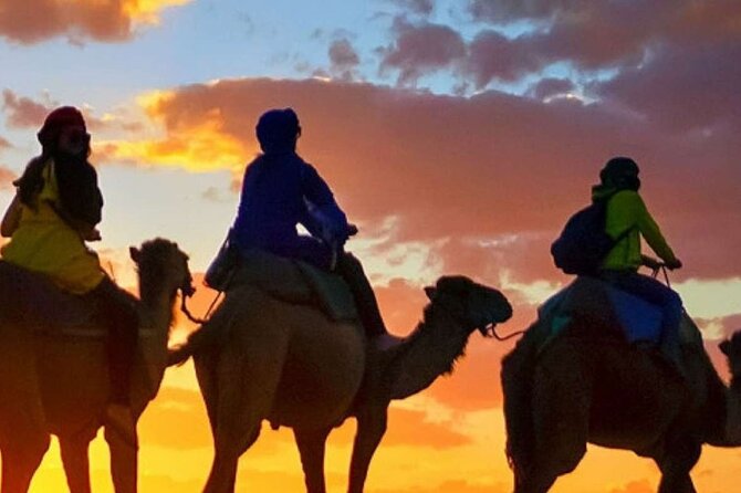 Camel ride + sunset + BBQ dinner in Agadir - Meeting the camels and settling into the saddle