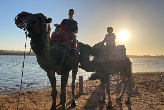 Camel Riding Agadir - Why the private format changes the experience