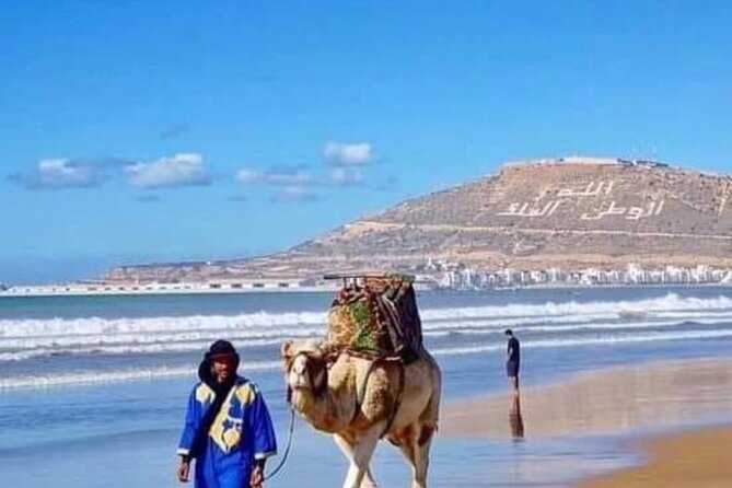 Camel Riding Agadir - The wildlife value, and its limits