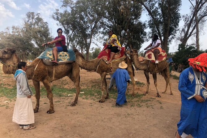 Camel Riding Agadir - Pickup, weather, and practical planning