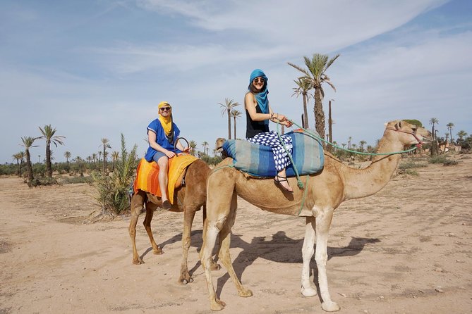 Camel Trek Around Marrakech Palmeraie - From central Marrakech to the Palmeraie