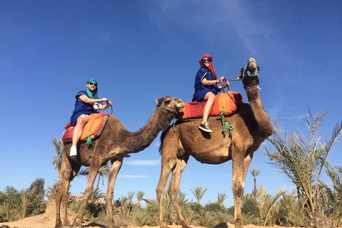 Camel Trek Around Marrakech Palmeraie - Getting dressed for the camel ride
