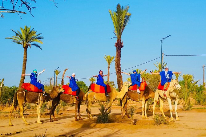 Camel Trek Around Marrakech Palmeraie - What the $34.89 price really buys