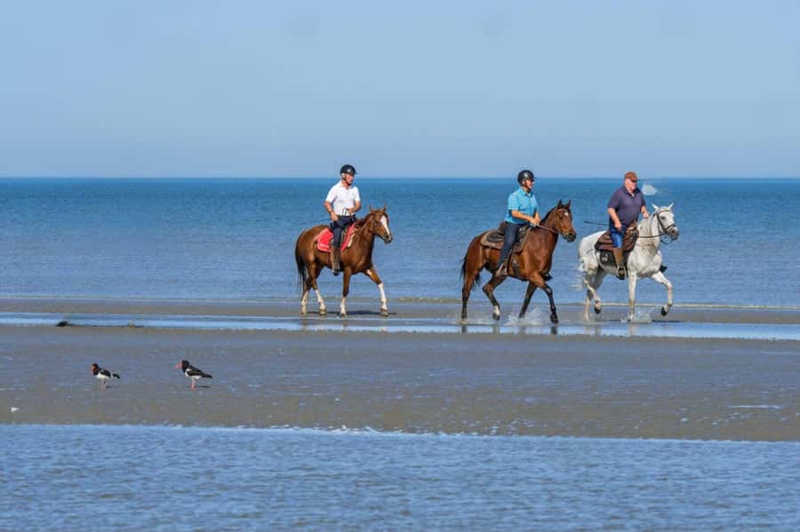Casablanca: Beach Horseback Riding with Hotel Transfers - Leaving Casablanca in an air-conditioned van