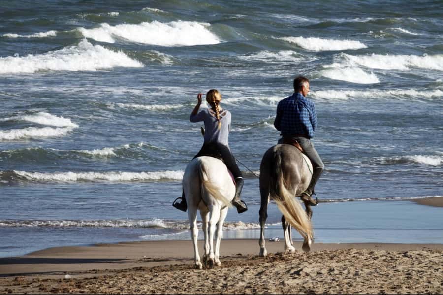 Casablanca: Beach Horseback Riding with Hotel Transfers - Meeting the horses and settling into the saddle