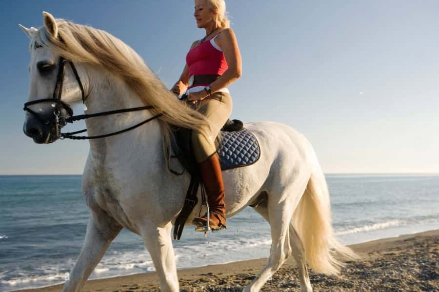 Casablanca: Beach Horseback Riding with Hotel Transfers - The one-hour ride along the Atlantic