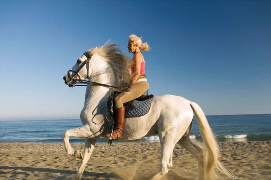 Casablanca: Beach Horseback Riding with Hotel Transfers - The farm adds a friendly local touch