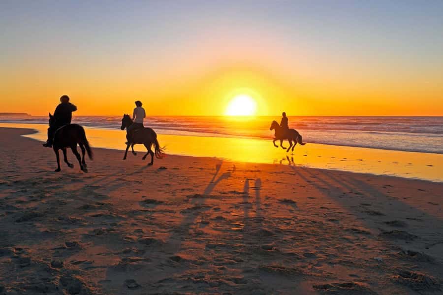 Casablanca: Beach Horseback Riding with Hotel Transfers - How much value do you get for $46?