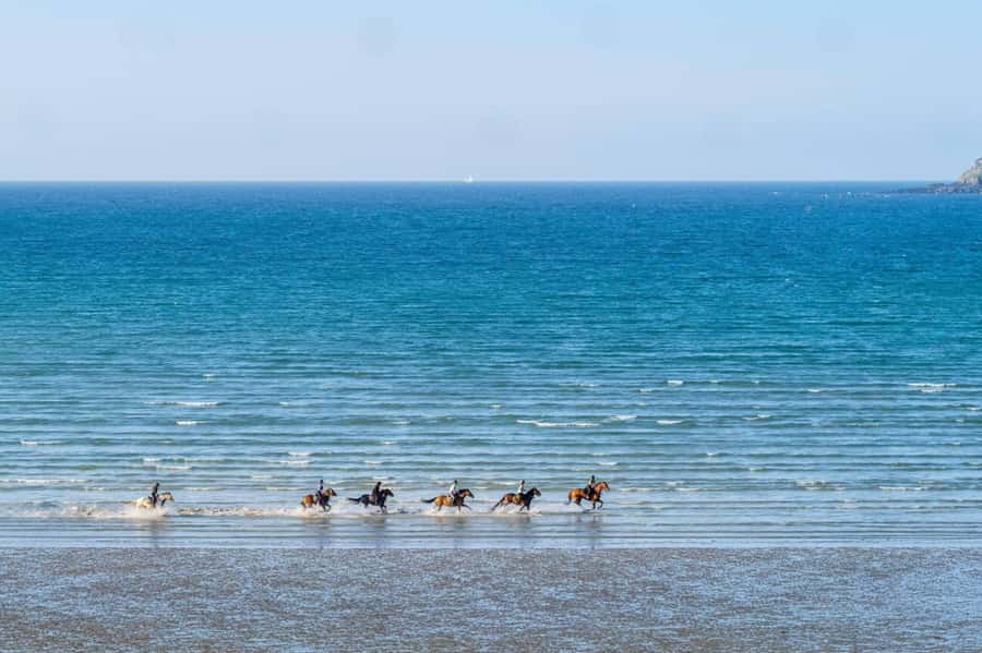 Casablanca: Beach Horseback Riding with Hotel Transfers - Who will enjoy this most?