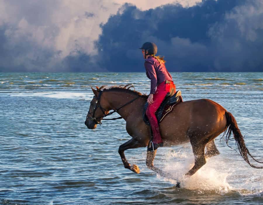 Casablanca: Beach Horseback Riding with Hotel Transfers - Practical tips for a smoother ride