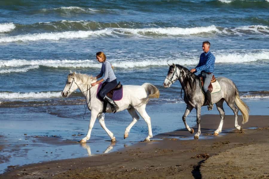 Casablanca: Beach Horseback Riding with Hotel Transfers - Choosing the beach or the forest