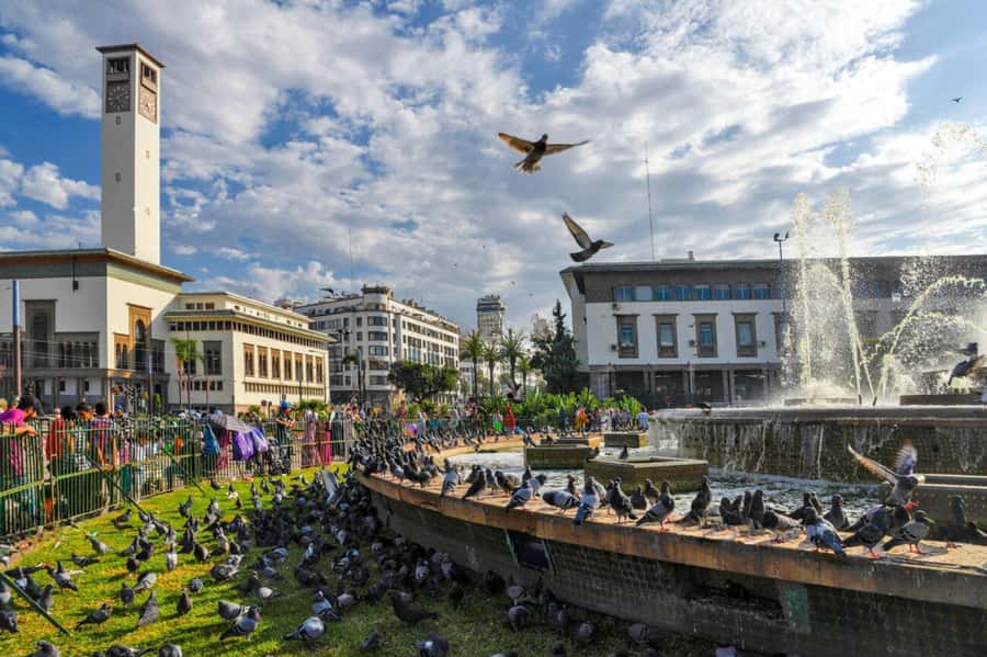 Casablanca: City Tour with Hassan II Mosque Entry Ticket - The Corniche, Anfa, and Maarif by vehicle