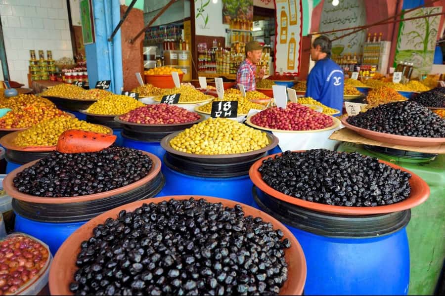 Casablanca City Tour with Hotel Pickup and drop off - Why this half-day tour works in Casablanca