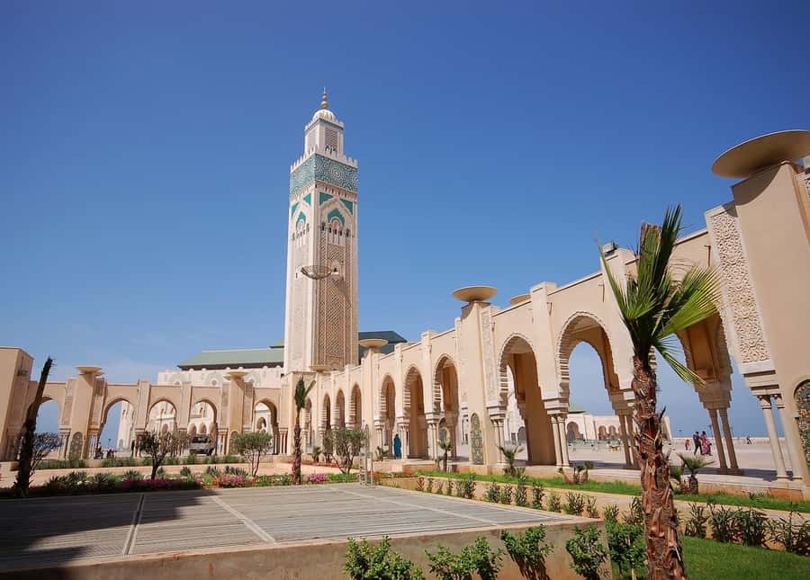 Casablanca Day Tour from Marrakech and Big Mosque Visit - Key points at a glance