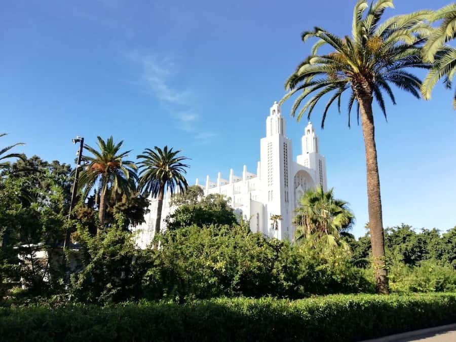 Casablanca Full-Day City Tour with round-trip hotel transfer - La Corniche and the Atlantic edge