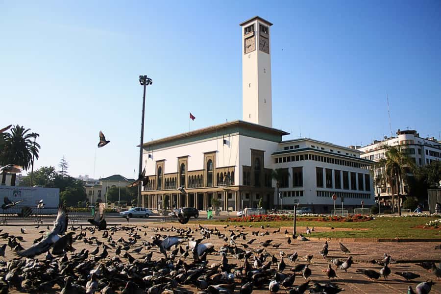 Casablanca: Guided City Tour - Guides, drivers, and the human factor