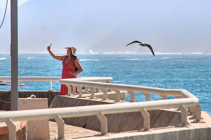 Casablanca: Private Guided Tour - Hassan II Mosque: the essential 90-minute stop
