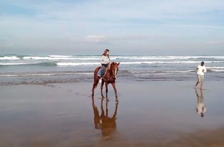 Casablanca: Private or Group Tour - Arab League Park: A Short Green Break