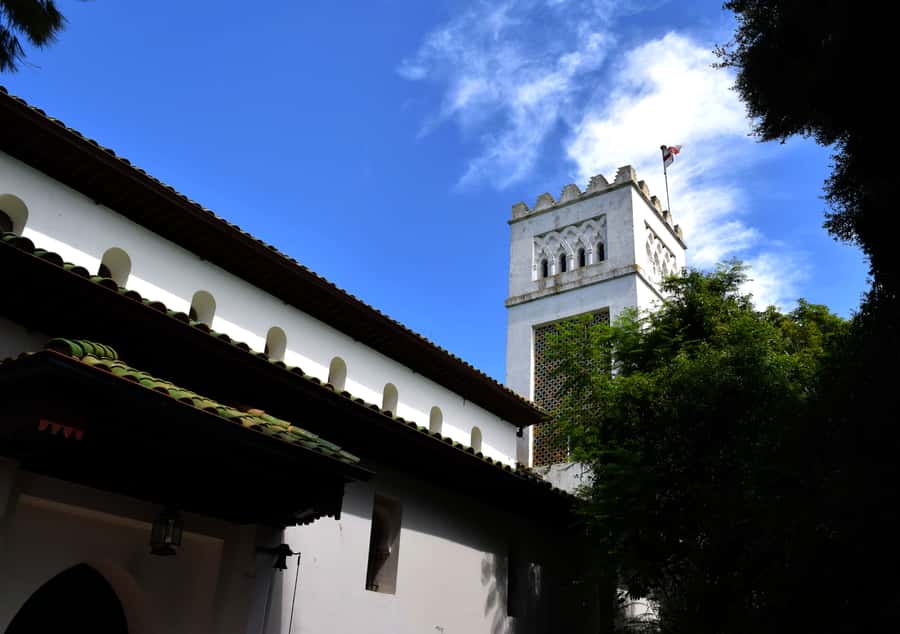 Casablanca: Tangier Day Tour by High-Speed Train - Is $152 a fair price?