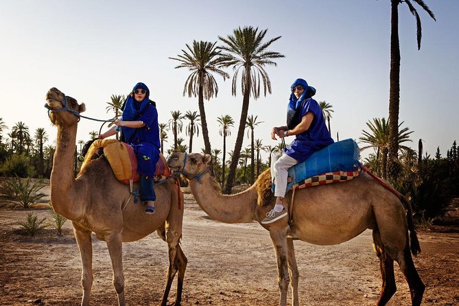 Casablanca to Marrakech Day Trip with Camel Ride - The Palmeraie camel ride
