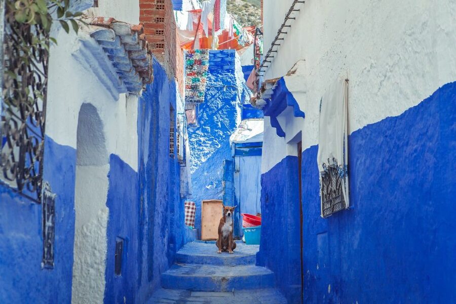 Chefchaouen Day Trip from Fez (Shared Group Tour) - Ras El Ma and the first taste of Chefchaouen