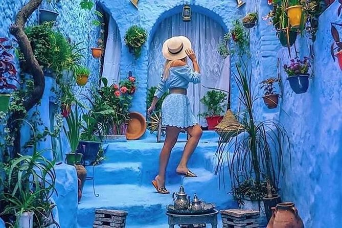 Chefchaouen Day Trip! The Blue Pearl - Who should book this experience?