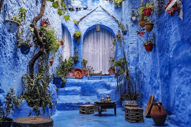 Chefchaouen private full day excursion & panoramic of Tangier - Key points to know before booking