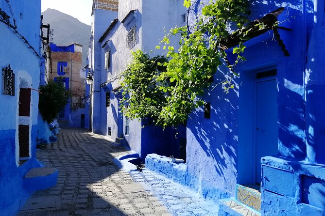 Chefchaouen private full day excursion & panoramic of Tangier - Panoramic views and the long return to Tangier