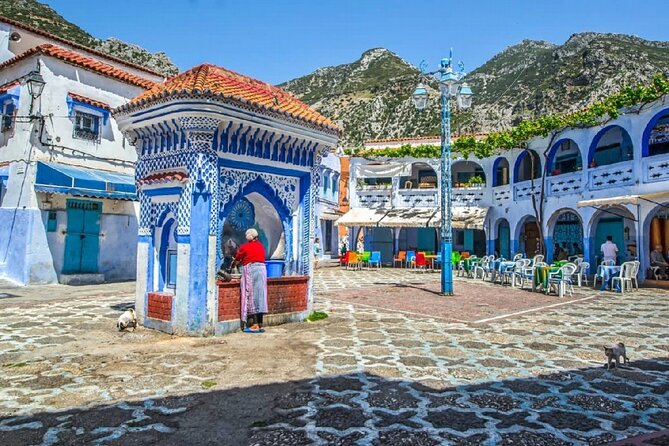 Chefchaouen the Blue City Full-Day Trip from Casablanca - Is $261.71 a fair price?