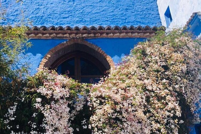Chefchaouen Transfer to or from Fes - Timing, comfort, and the limits of a same-day visit