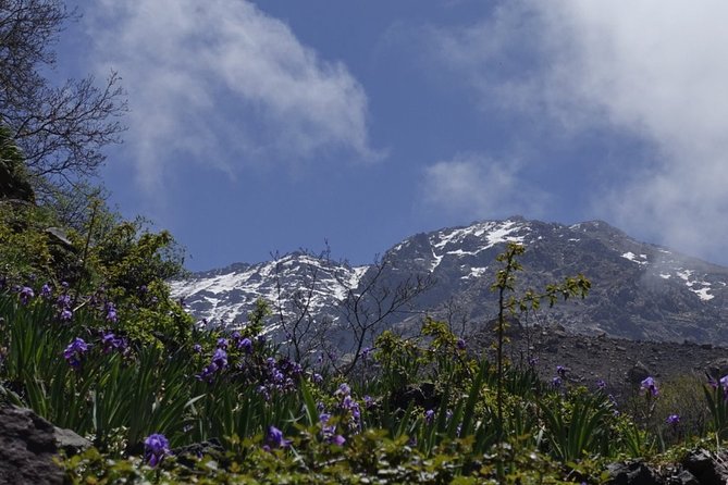 Climb Mount Toubkal - trekking - 3 days - Is $337.31 good value?