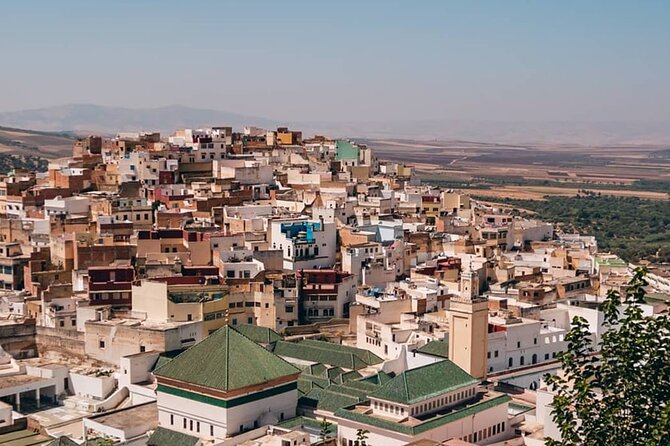 Day Tour to Volubilis & Meknes from Fes - Guide quality and the pace of the day