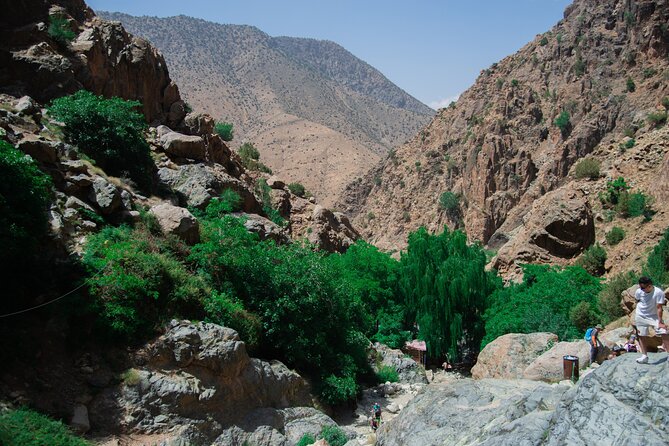 Day trip - Atlas Mountains Ourika Valley Waterfall From Marrakech - Natural pools, river views, and time to slow down