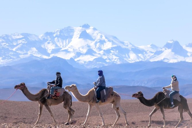 Day Trip:Berber Villages and 4 Valleys Atlas Mountains &Waterfu l& camel Ride - Key things to know before you book