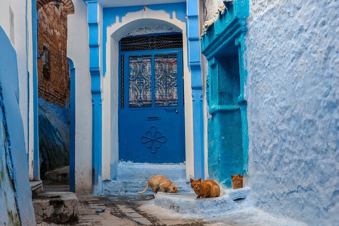 Day Trip From Fes to Chefchaouen - What the driver can add to the day