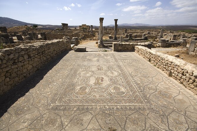 Day Trip from Fes to Meknes, Volubilis, Moulay Idriss - Transport, timing, and practical value