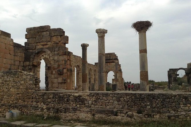 Day trip from Fes to Volubilis Moulay Idriss & Meknes - Why this Fez day trip makes sense