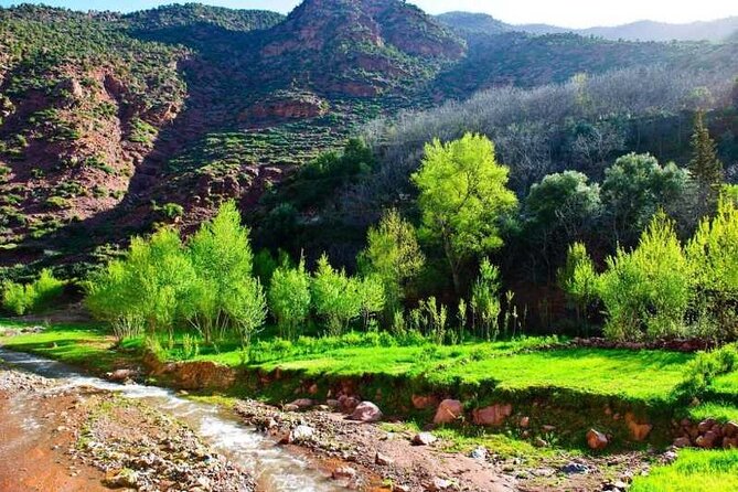 Day Trip from Marrakech Explore the Atlas Mountains and 4 Valleys - Ourika Valley: the day’s longest stop