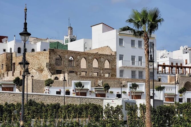 Day Trip From Tarifa To Tangier All Inclusive - Grand Socco and Mendoubia Garden